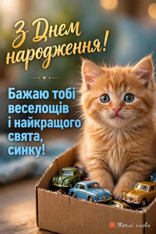 Руде кошеня в коробці з машинками і побажання найкращого свята